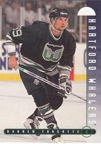 1995 Leaf Base Set #173 Darren Turcotte