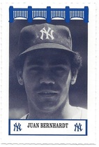 1992 Team Issue New York Yankees WIZ 70s #15 Juan Bernhardt