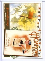 2011 Topps Allen and Ginter Hometown Heroes #HH45 Ike Davis