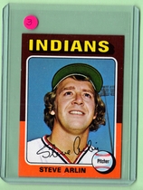 1975 Topps Minis #159 Steve Arlin