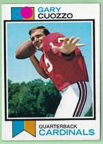 1973 Topps Base Set #156 Gary Cuozzo
