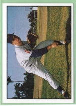 1981 TCMA 60s II #443 Dennis Ribant