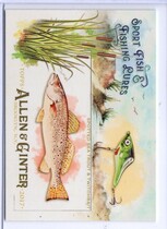 2017 Topps Allen & Ginter Sport Fish and Fishing Lures #SFL-11 Spotted Sea Trout