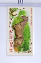 2017 Topps Allen & Ginter Mini Horse in the Race #HR-17 Marwari Horse
