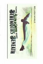 2020 Topps Allen & Ginter Mini Behemoths Beneath #MGB-20 Beluga Whale