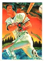 1995 Fleer Pro-Visions #5 Tim Salmon