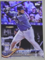 2018 Topps Rainbow Foil #271 Cam Gallagher