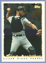 1995 Topps Cyberstats #367 Brad Ausmus