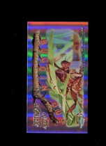 2020 Topps Chrome Allen & Ginter Mini Buggin Out #MBOC-6 Australian Walking Stick