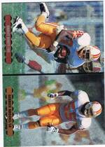1996 Upper Deck Silver Helmet Cards #NC4 Derrick Brooks|Errict Rhett