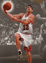 2008 SkyBox Base Set #20 Kirk Hinrich